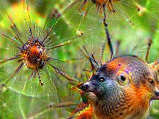 NVIDIA Jetson Nanoで Google DeepDream NVCaffeを動かしてキモイ絵を量産する方法