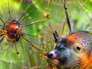 NVIDIA Jetson Nanoで Google DeepDream NVCaffeを動かしてキモイ絵を量産する方法