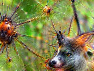 NVIDIA Jetson Nanoで Google DeepDream NVCaffeを動かしてキモイ絵を量産する方法