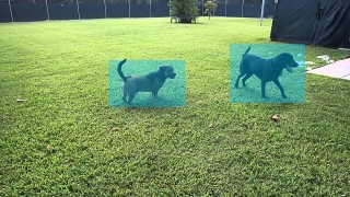 NVIDIA Jetson Nano CUDA サンプルプログラム