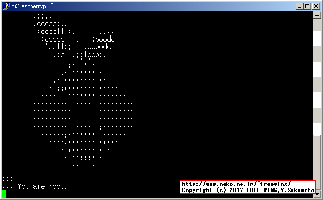 ラズパイで Pi-hole DNSサーバを構築する方法