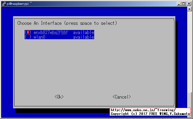 ラズパイで Pi-hole DNSサーバを構築する方法