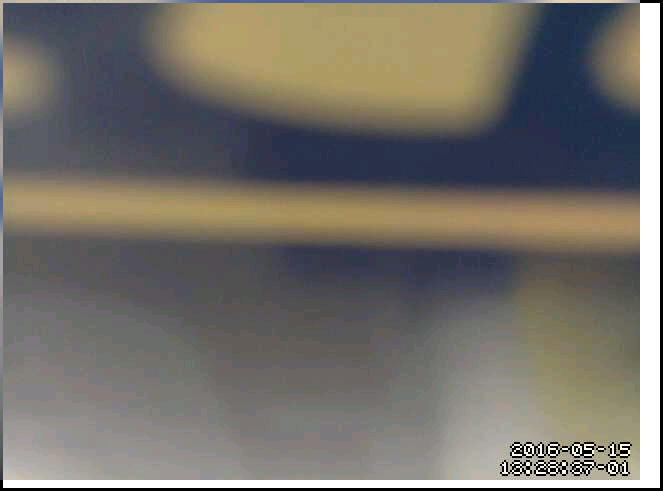 motion-mmalcam.conf Motion設定方法