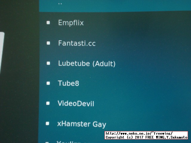 OpenELEC、LibreELEC、OSMC、XBian用のアダルト向けの 18禁プラグインの設定方法