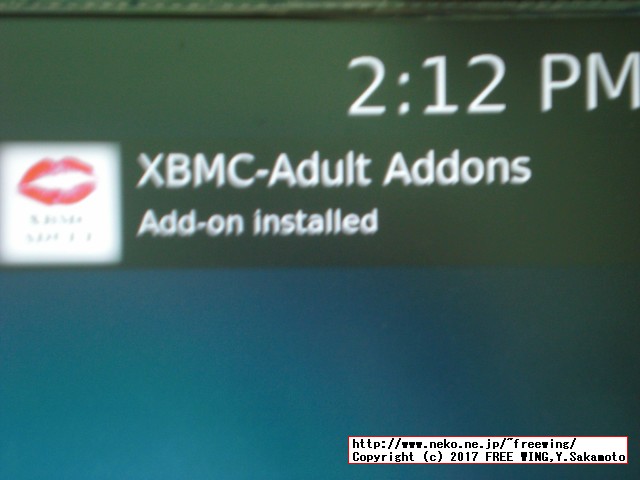OpenELEC、LibreELEC、OSMC、XBian用のアダルト向けの 18禁プラグインの設定方法