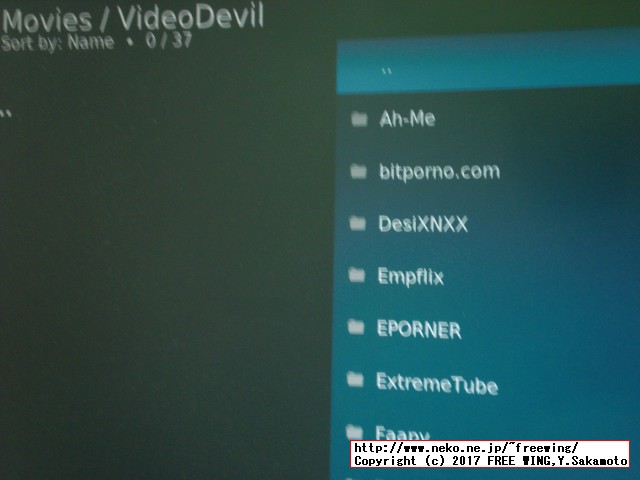 OpenELEC、LibreELEC、OSMC、XBian用のアダルト向けの 18禁プラグインの設定方法