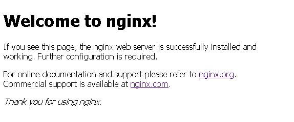 軽量な Webサーバ nginxをラズパイにインストールする方法