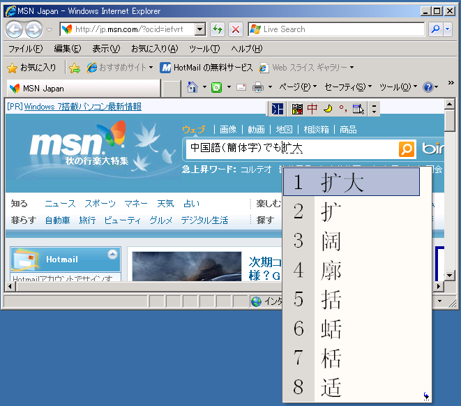 IE8(中国語 簡体字IME)