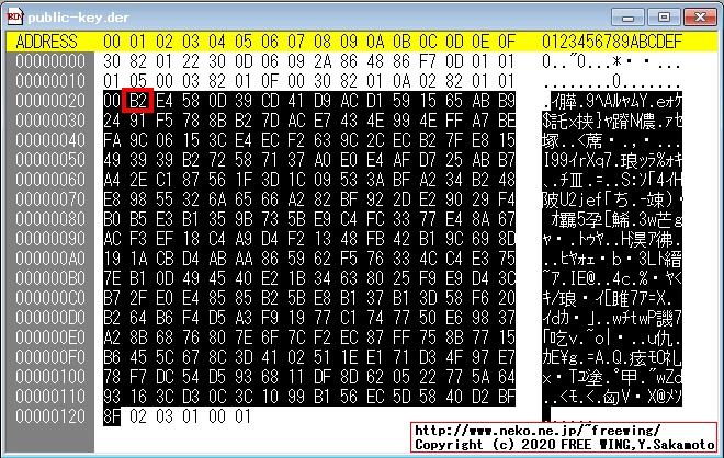 Windowsの RSA暗号で使用する PUBLICKEYBLOBと OpenSSLの DER形式の関係