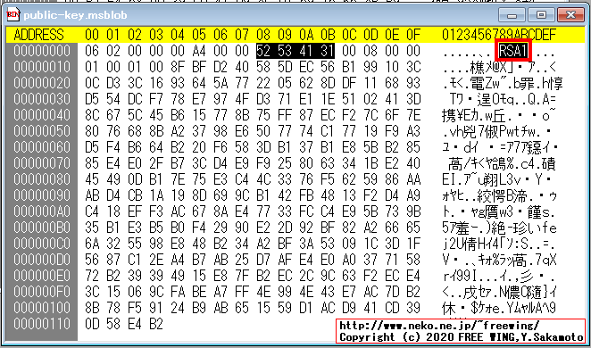 Windowsの RSA暗号で使用する PUBLICKEYBLOBと OpenSSLの DER形式の関係